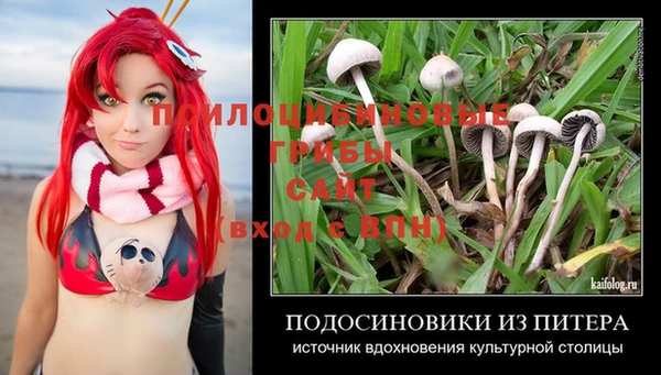 винт Аркадак