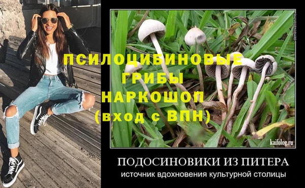 мдпв Арсеньев