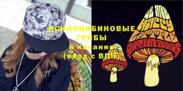 винт Аркадак
