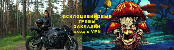 винт Аркадак