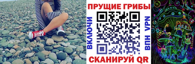 гидра рабочий сайт  Стародуб  Псилоцибиновые грибы Cubensis 